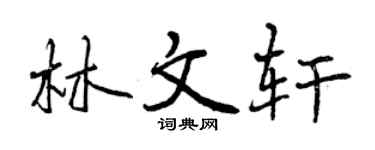 曾庆福林文轩行书个性签名怎么写