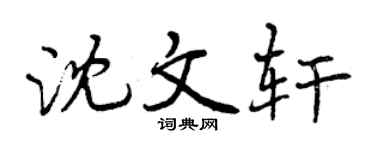 曾庆福沈文轩行书个性签名怎么写