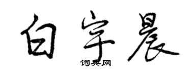 曾庆福白宇晨行书个性签名怎么写