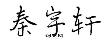 曾庆福秦宇轩行书个性签名怎么写