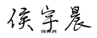 曾庆福侯宇晨行书个性签名怎么写