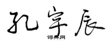 曾庆福孔宇辰行书个性签名怎么写