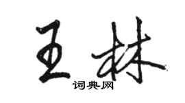 骆恒光王林行书个性签名怎么写