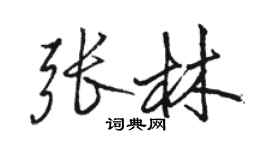 骆恒光张林行书个性签名怎么写