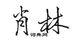骆恒光肖林行书个性签名怎么写