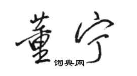 骆恒光董宁行书个性签名怎么写