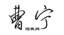 骆恒光曹宁行书个性签名怎么写