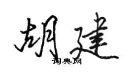 骆恒光胡建行书个性签名怎么写