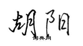 骆恒光胡阳行书个性签名怎么写