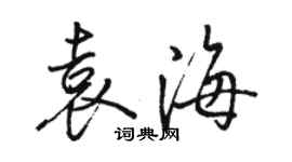 骆恒光袁海行书个性签名怎么写
