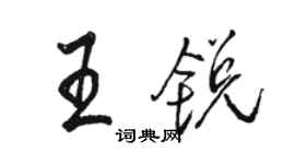 骆恒光王锐行书个性签名怎么写