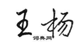 骆恒光王杨行书个性签名怎么写
