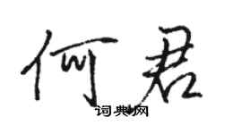 骆恒光何君行书个性签名怎么写
