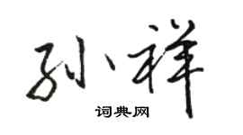 骆恒光孙祥行书个性签名怎么写