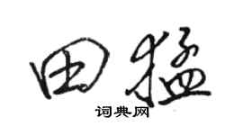 骆恒光田猛行书个性签名怎么写