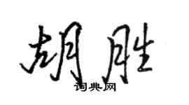 骆恒光胡胜行书个性签名怎么写