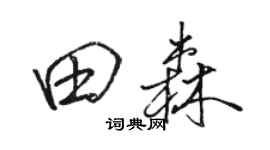 骆恒光田森行书个性签名怎么写