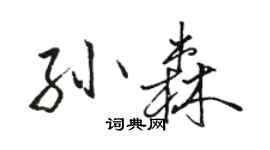 骆恒光孙森行书个性签名怎么写