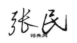 骆恒光张民行书个性签名怎么写