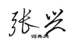 骆恒光张兴行书个性签名怎么写