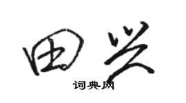 骆恒光田兴行书个性签名怎么写