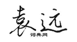 骆恒光袁远行书个性签名怎么写