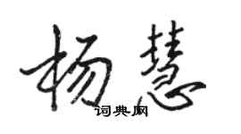 骆恒光杨慧行书个性签名怎么写
