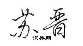 骆恒光苏晋行书个性签名怎么写