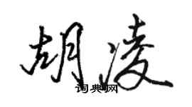 骆恒光胡凌行书个性签名怎么写
