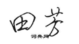 骆恒光田芳行书个性签名怎么写