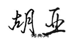 骆恒光胡亚行书个性签名怎么写