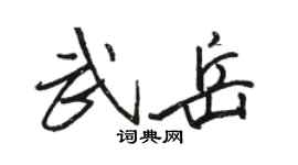 骆恒光武岳行书个性签名怎么写