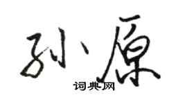 骆恒光孙原行书个性签名怎么写