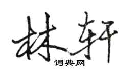 骆恒光林轩行书个性签名怎么写