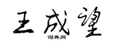 曾庆福王成望行书个性签名怎么写
