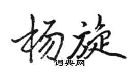 骆恒光杨旋行书个性签名怎么写
