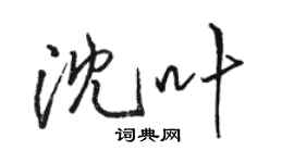 骆恒光沈叶行书个性签名怎么写