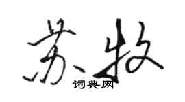 骆恒光苏牧行书个性签名怎么写