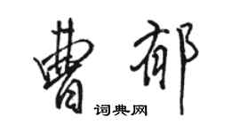 骆恒光曹郁行书个性签名怎么写