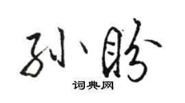 骆恒光孙盼行书个性签名怎么写
