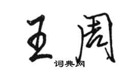 骆恒光王周行书个性签名怎么写