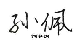 骆恒光孙佩行书个性签名怎么写
