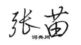 骆恒光张苗行书个性签名怎么写