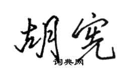 骆恒光胡宪行书个性签名怎么写