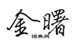 骆恒光金曙行书个性签名怎么写