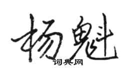 骆恒光杨魁行书个性签名怎么写