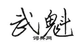 骆恒光武魁行书个性签名怎么写