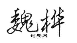 骆恒光魏桦行书个性签名怎么写