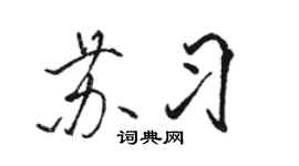 骆恒光苏习行书个性签名怎么写