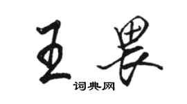 骆恒光王畏行书个性签名怎么写